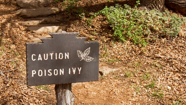 Poison Ivy Oak Irritating Plants Rash Backpacking