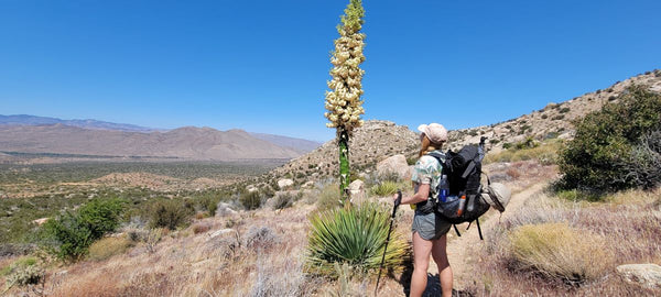 Next Round of Pacific Crest Trail Thru-Hiker Permits Drops Tuesday